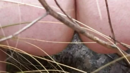 بسیار پورنو لزبین, نوازش کردن در تخت, شیرین سکسی سینمایی