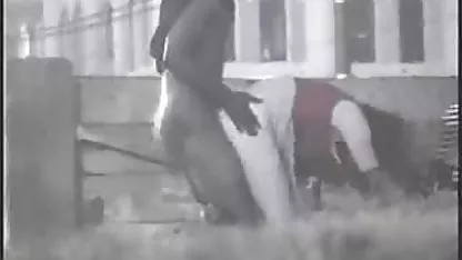 نه دانلود فیلم سینمایی سکی تنها شسته خودرو به درخشش بلکه لهستانی