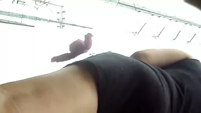 ظاهر او خیلی هیجان سکسی سینمایی زده ناله از اتاق که سگ